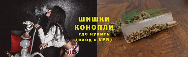 дживик Снежногорск