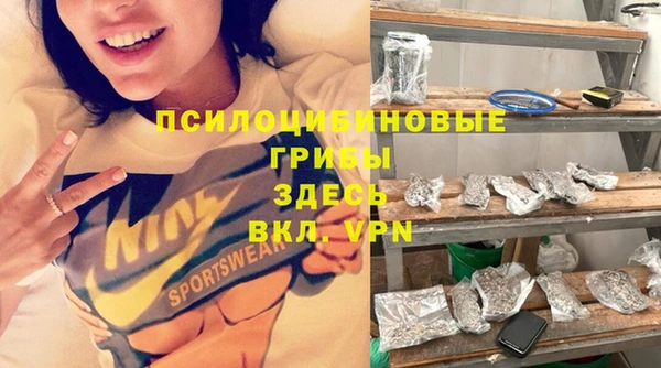 дживик Снежногорск