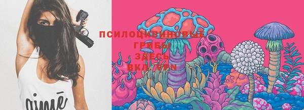 амф Вязьма
