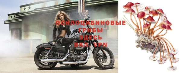 дурь Вязники